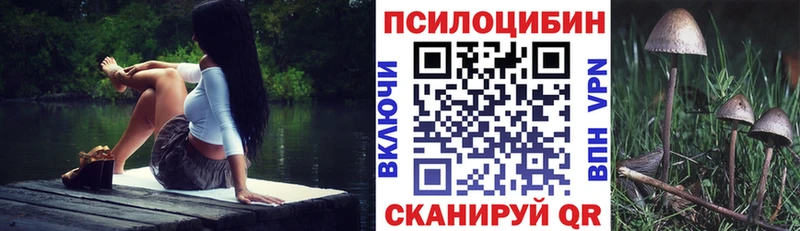 Галлюциногенные грибы GOLDEN TEACHER  Купить где  Луховицы 